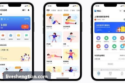 跨端轻应用小程序开发